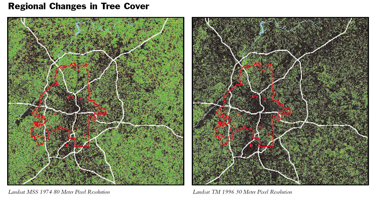 Tree_Cover_Changes